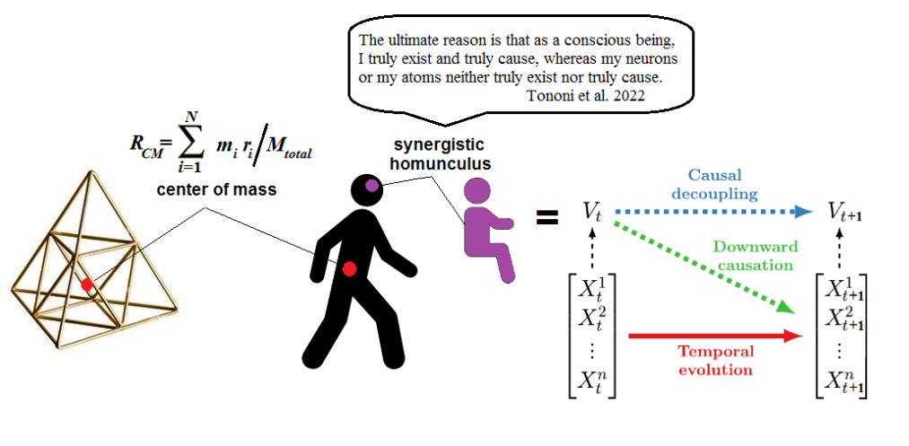 科学能解释自由意志吗？