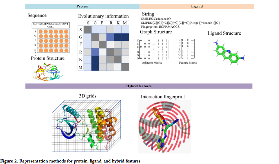 J. Chem. Inf. Model. | 基于序列和基于结构的蛋白质-配体相互作用机器学习方法