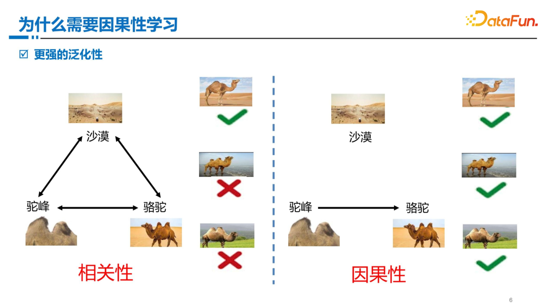 因果性学习范式初探