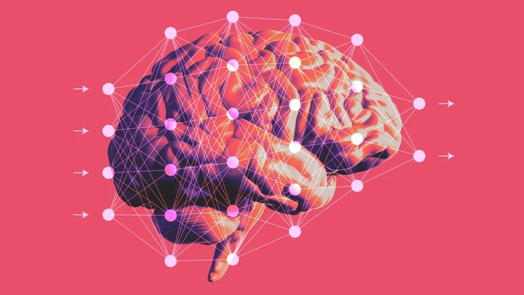 生物大脑为何优于机器学习系统？超越反向传播的学习｜Nature Neuroscience 速递