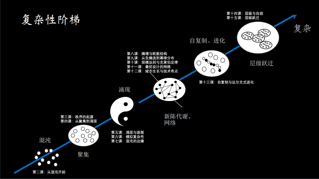 复杂阶梯理论：看待生命、组织、城市统一性的新视角 | 复杂性思维系列课程