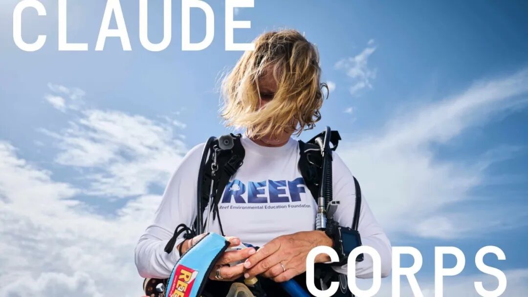 Bild zum Claude-Corps-Programm mit einer teilnehmenden Person aus dem Bereich Meeresschutz