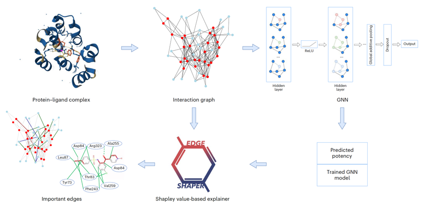 Nat. Mach. Intell. | 利用图网络发现蛋白质与配体相互作用关键点