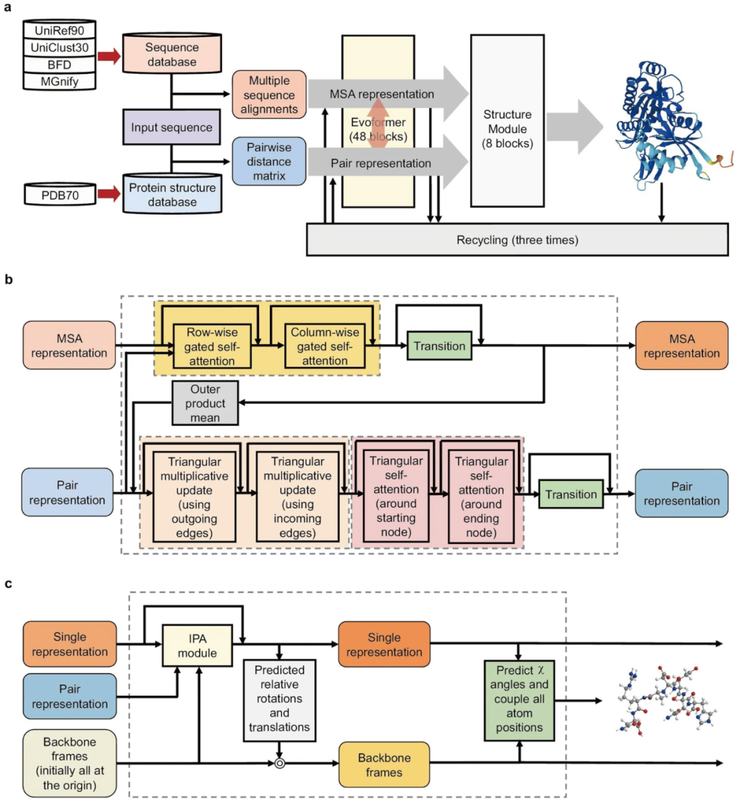 AlphaFold2原理和架构及其在生物学和医学领域的应用