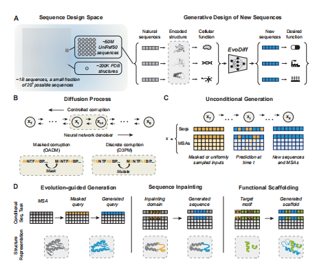 微软开源EvoDiff： 新一代蛋白质生成式AI