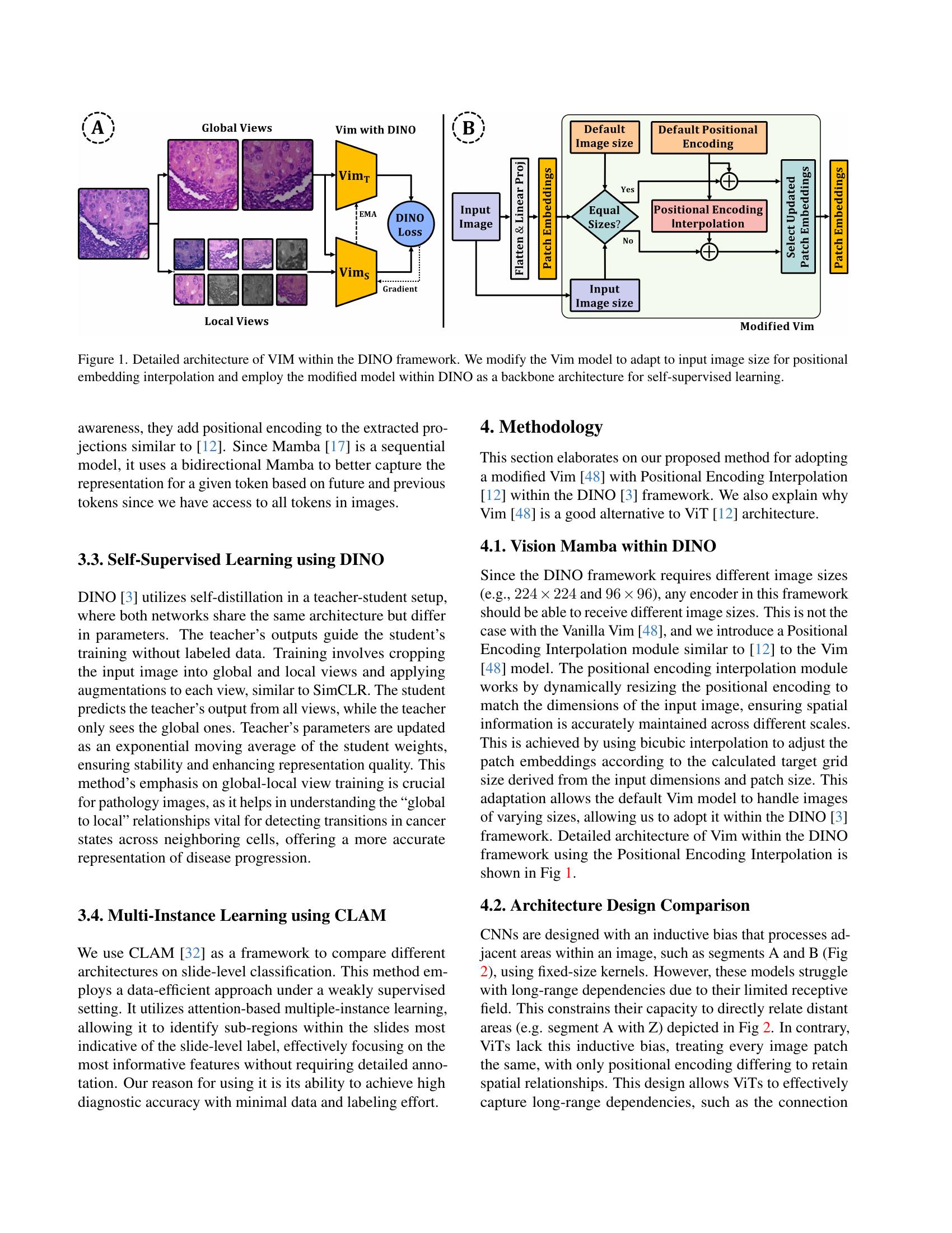 Vim4Path: Self-Supervised Vision Mamba for Histopathology Images - 智源社区论文