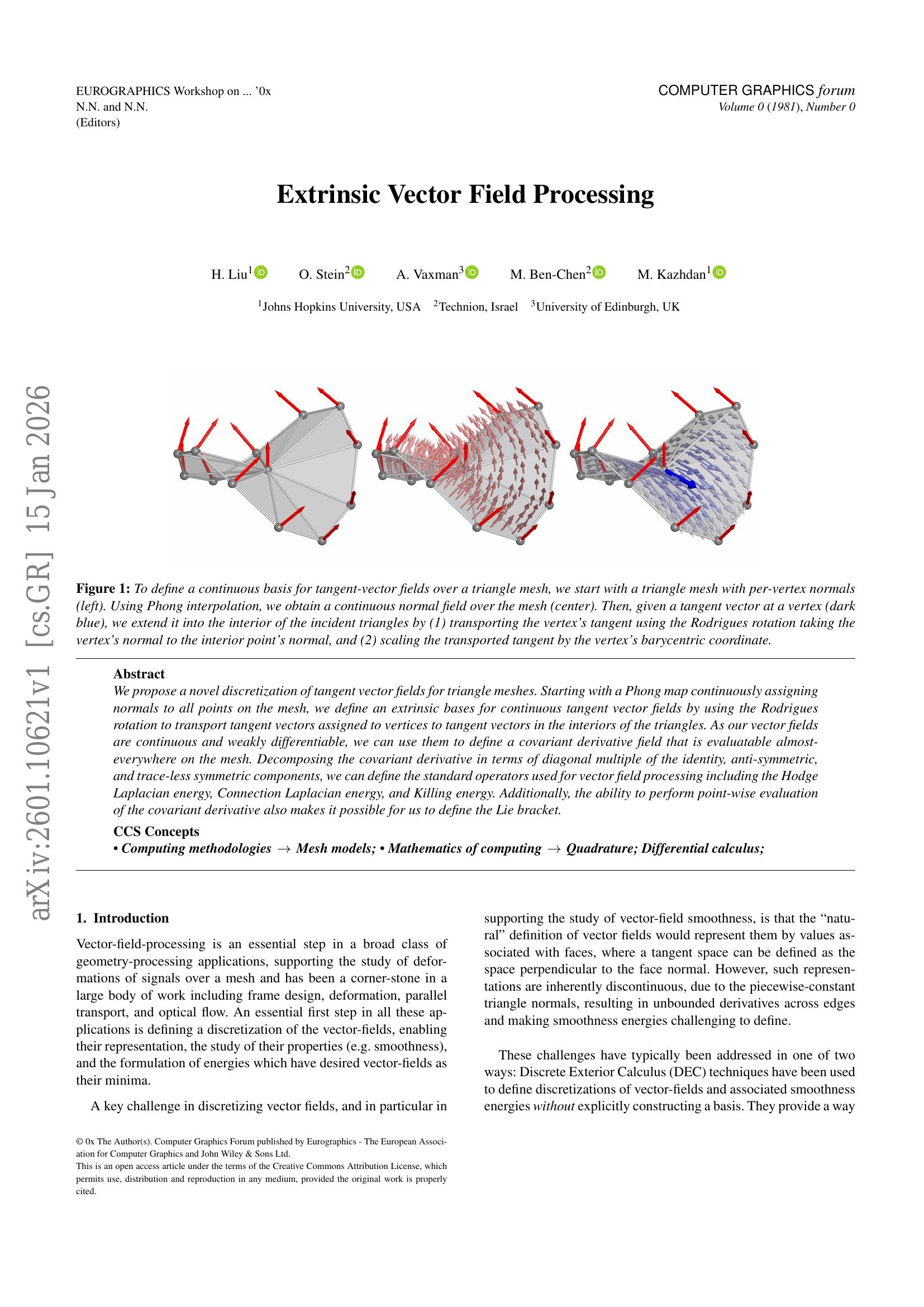 Extrinsic Vector Field Processing - 智源社区论文