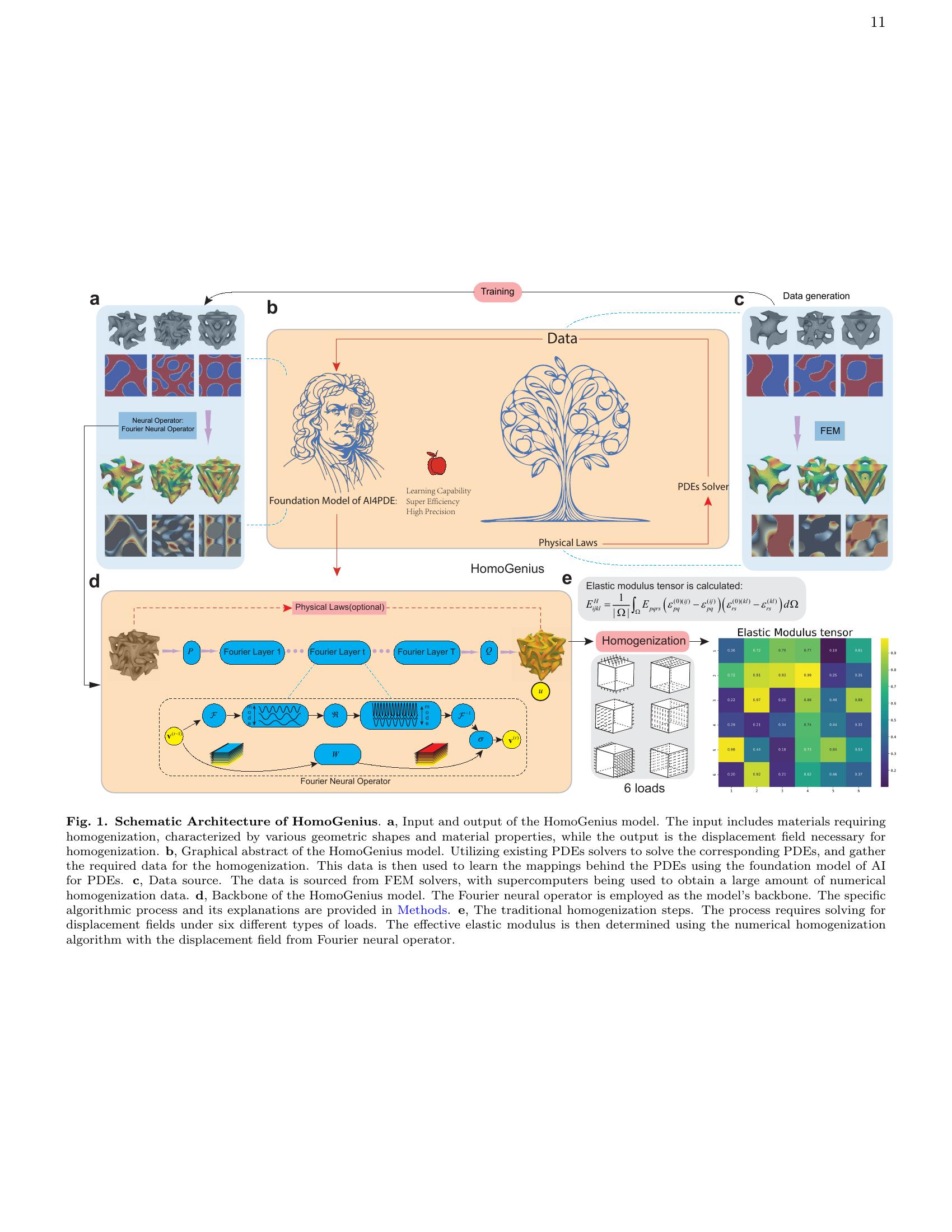 HomoGenius: a Foundation Model of Homogenization for Rapid Prediction ...