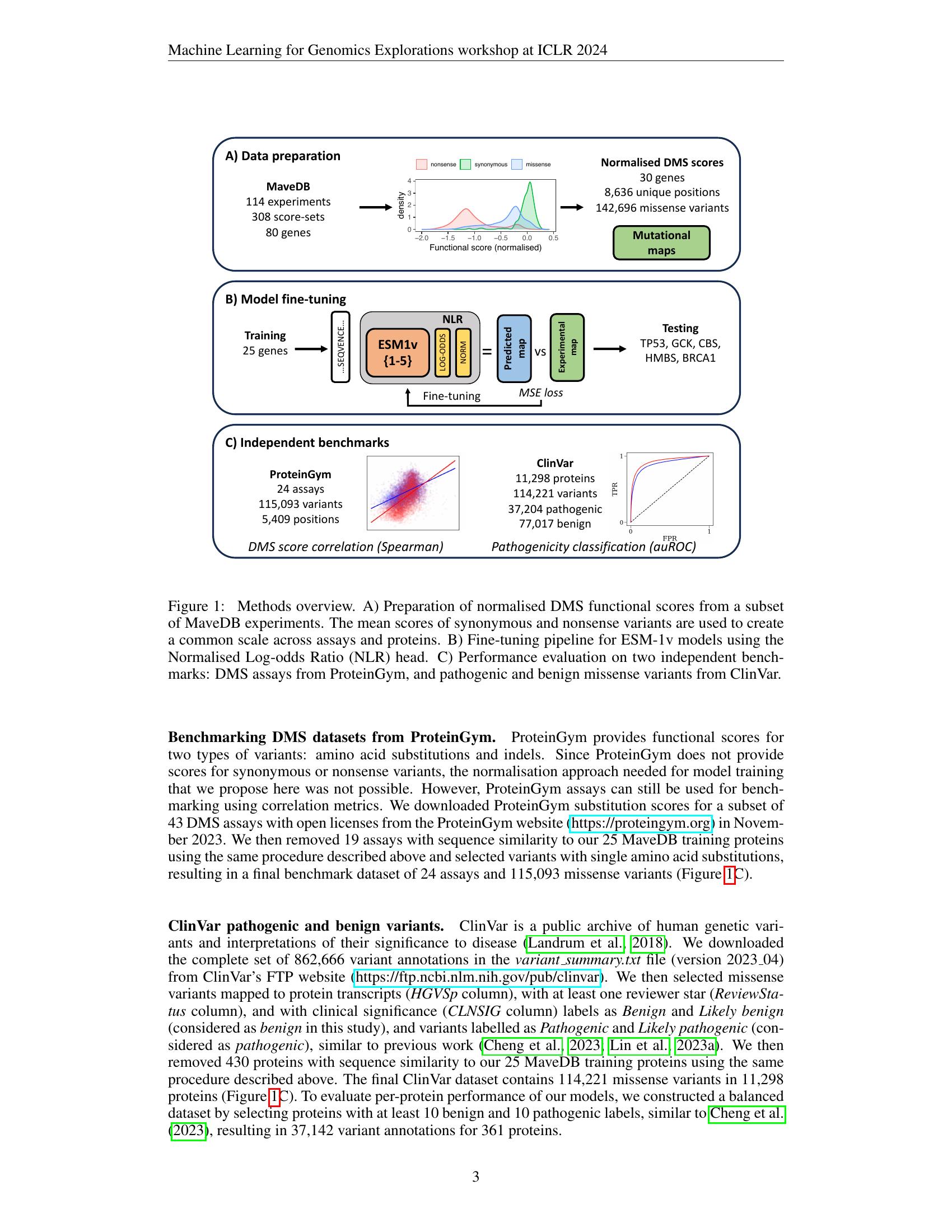Fine-tuning Protein Language Models with Deep Mutational Scanning ...