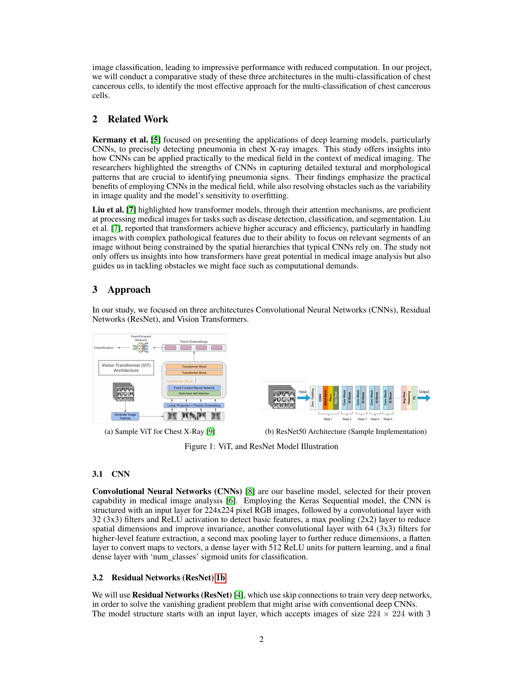 A Comparative Study of CNN, ResNet, and Vision Transformers for Multi ...