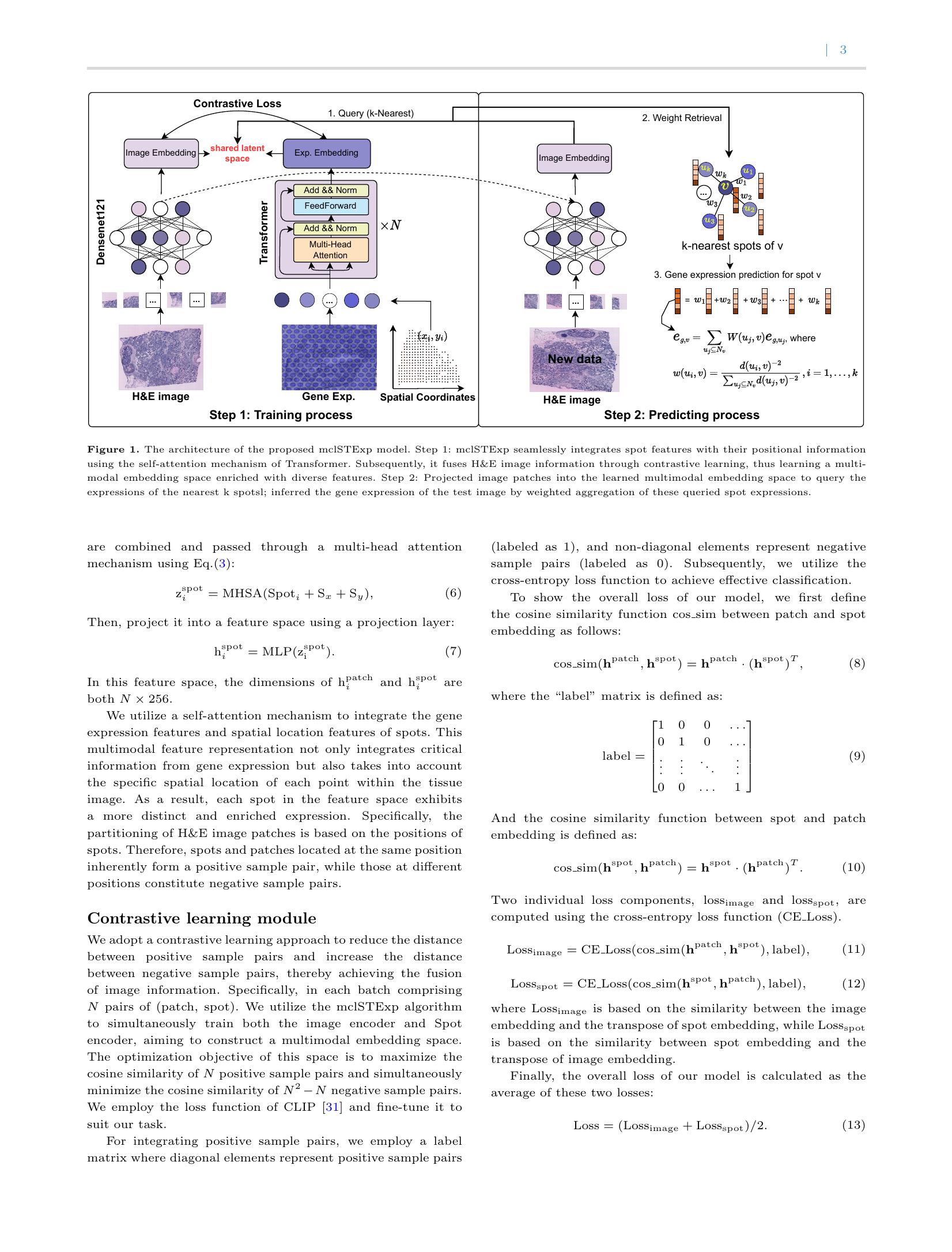 Multimodal contrastive learning for spatial gene expression prediction ...