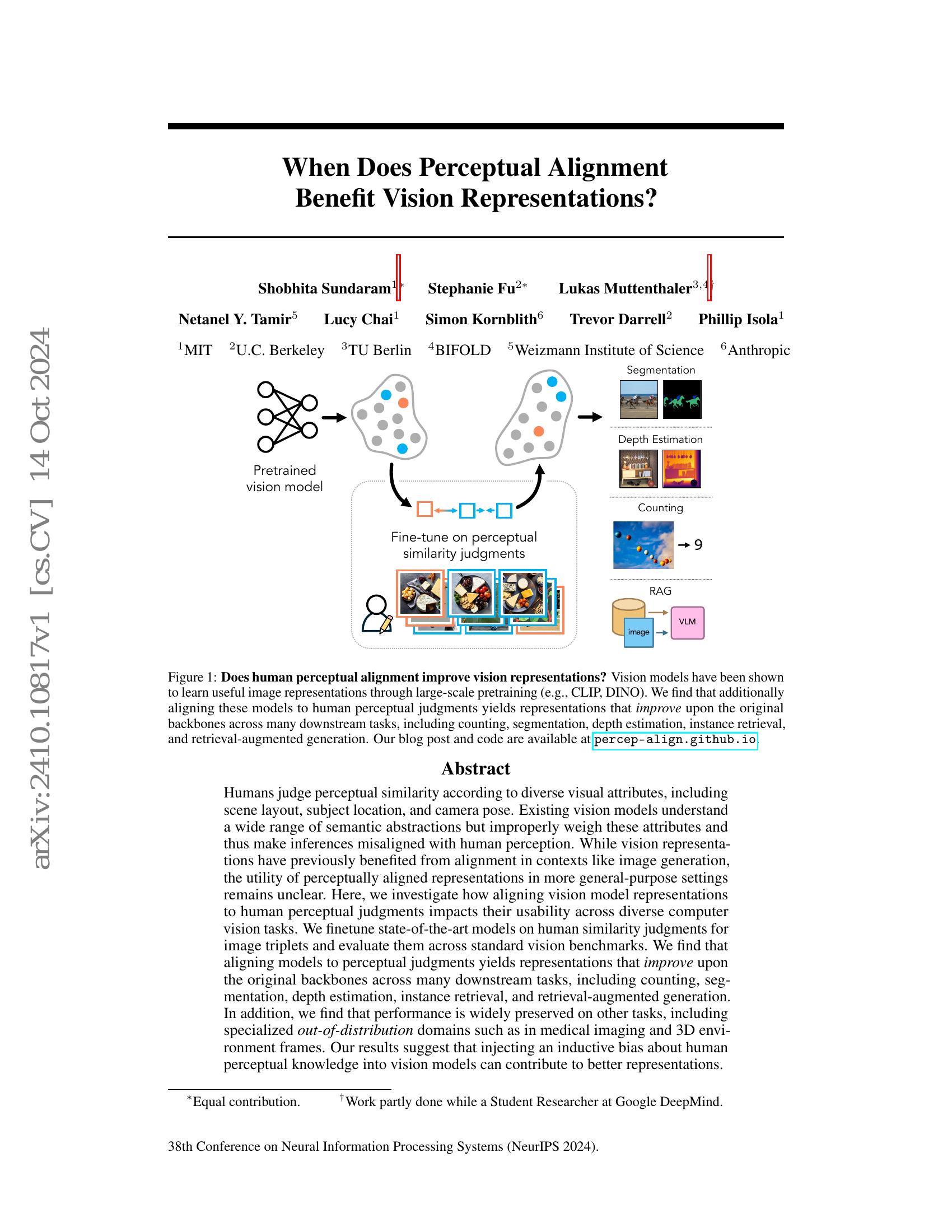 When Does Perceptual Alignment Benefit Vision Representations? - 智源社区论文