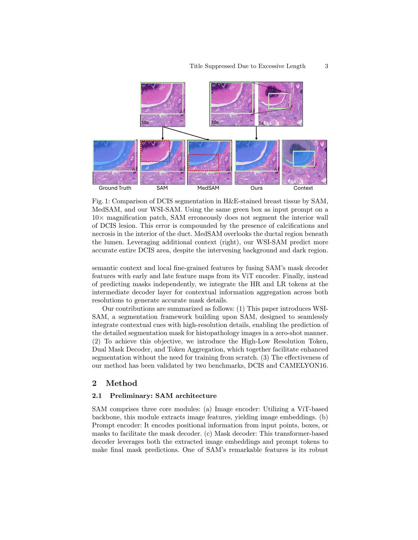 WSI-SAM: Multi-resolution Segment Anything Model (SAM) for histopathology  whole-slide images - 智源社区论文