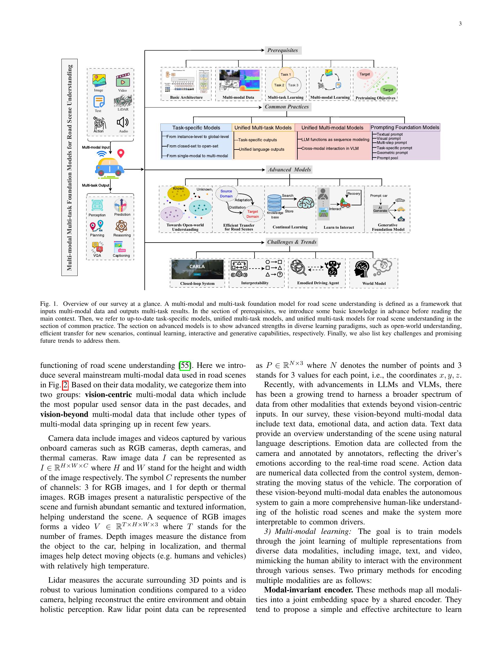 Delving into Multi-modal Multi-task Foundation Models for Road Scene ...