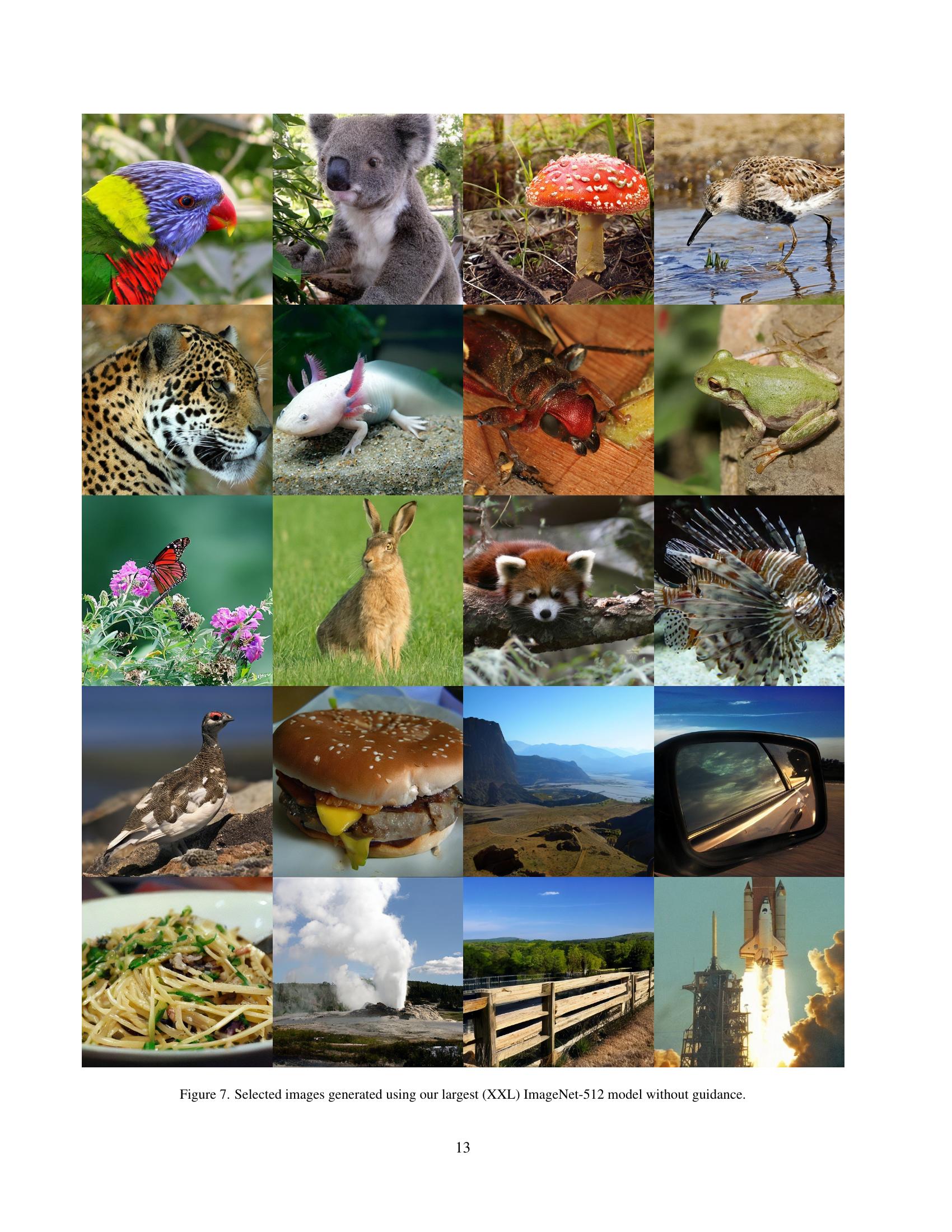 Diffusion Models Bird Analyzing and Improving the Training Dynamics of Diffusion Models - 智源社区论文