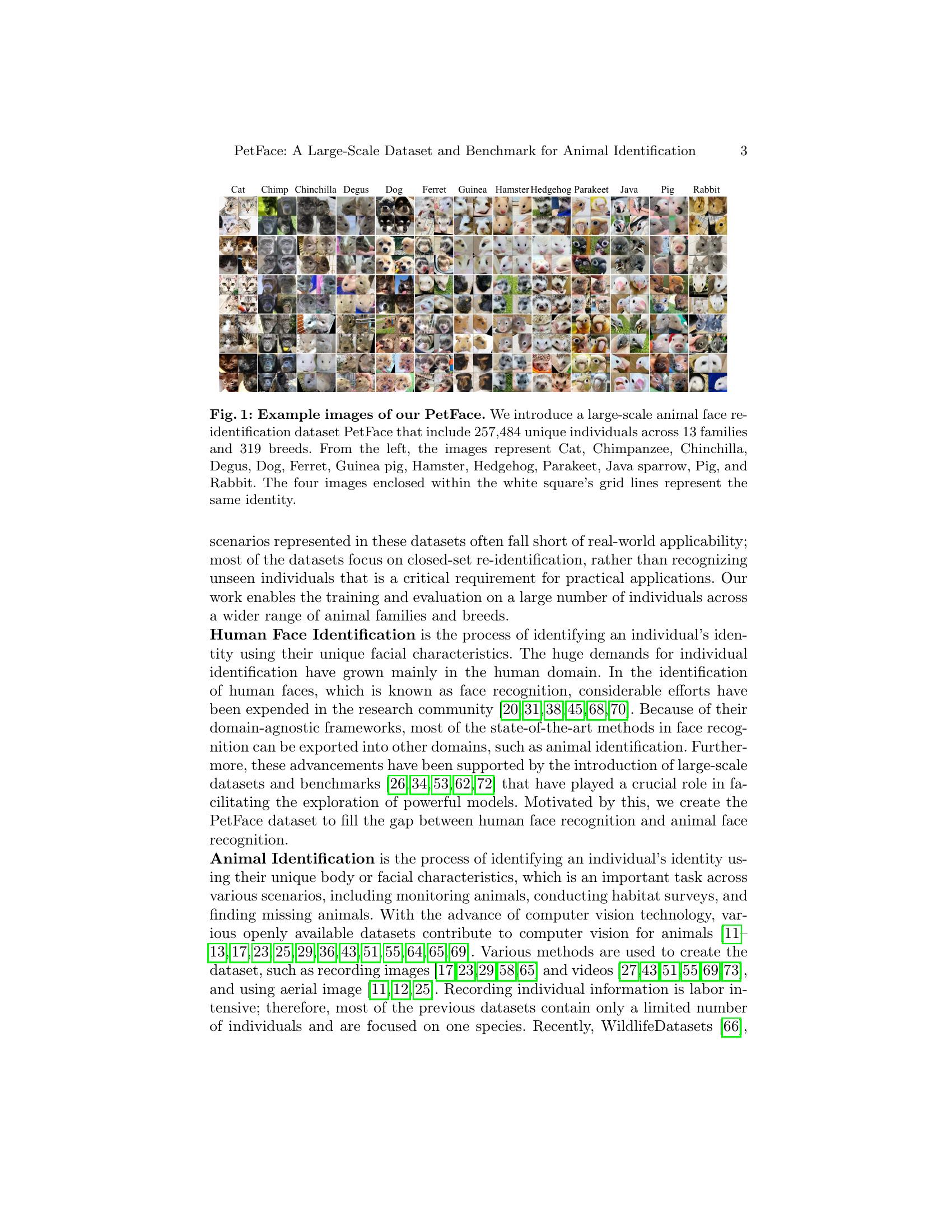 PetFace: A Large-Scale Dataset and Benchmark for Animal Identification ...