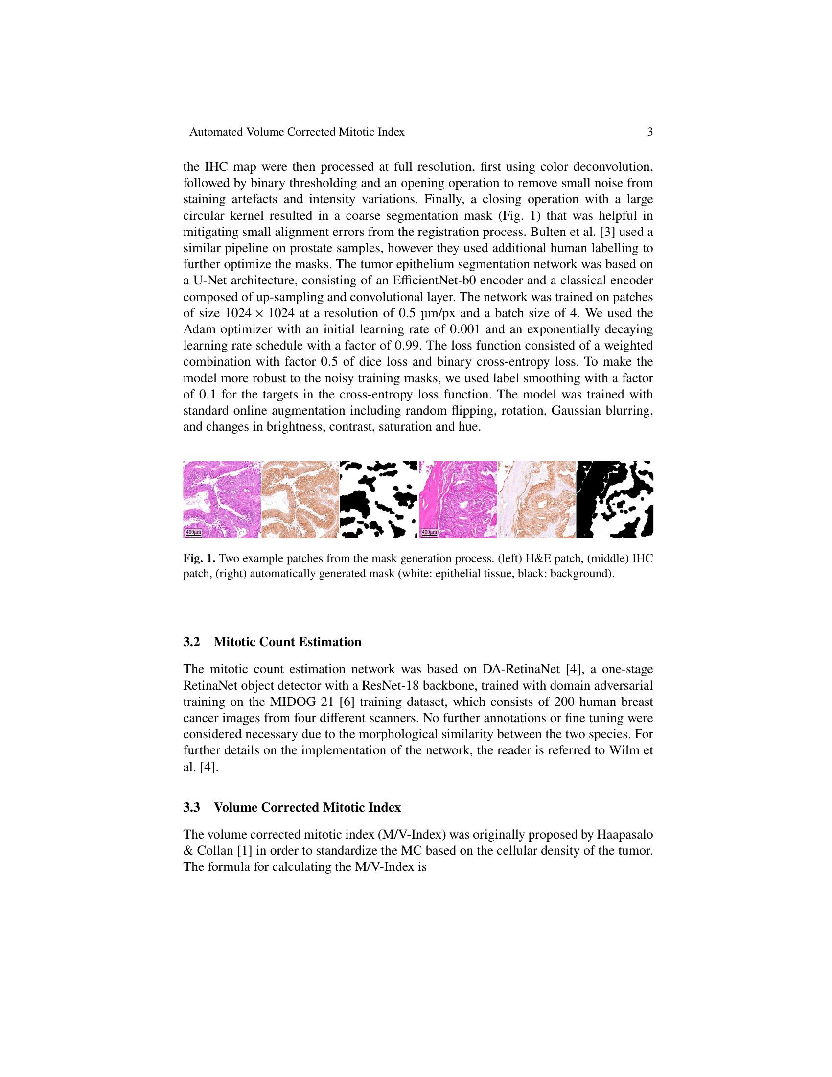 Automated Volume Corrected Mitotic Index Calculation Through Annotation ... Biology Diagrams
