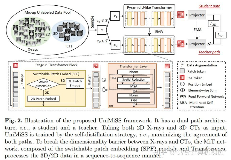 ECCV 2022 | UniMiSS：打破维度障碍的通用医学自监督学习 - 智源社区