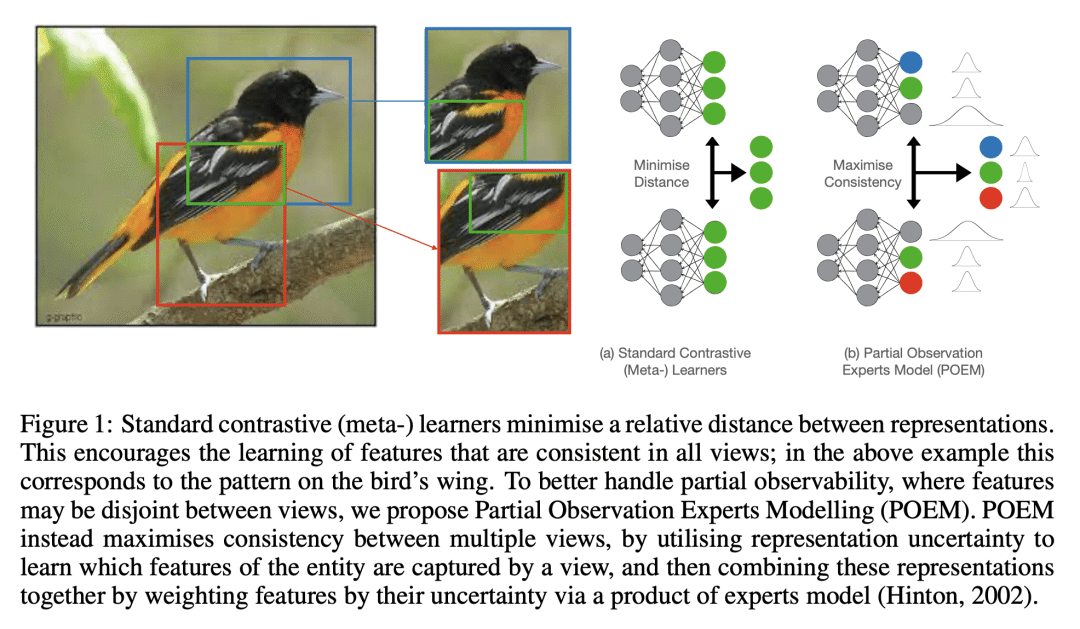爱丁堡大学 | 面向部分可观察少样本学习的对比元学习 - 智源社区