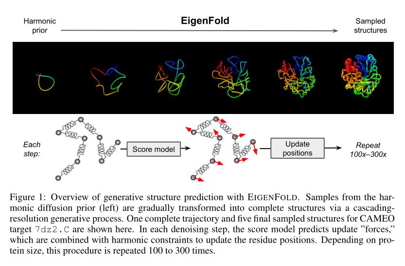 EigenFold:扩散模型生成的蛋白质结构预测