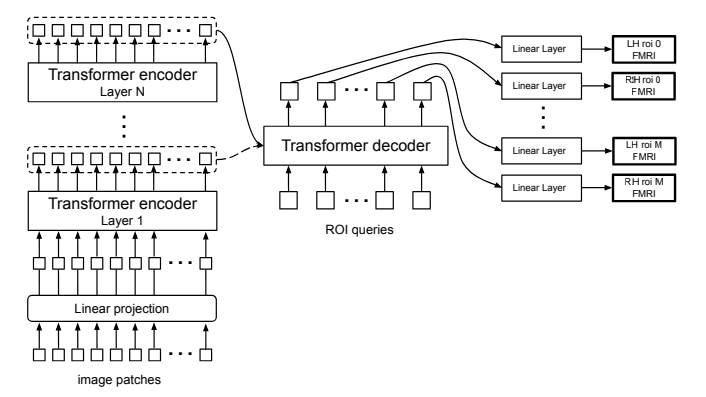 哥伦比亚大学|使用 Transformers 预测大脑活动